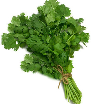 ZIXA Coriander Seed(250 per packet)