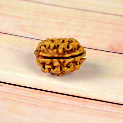 REIKI CRYSTAL PRODUCTS Certified 3 Mukhi Rudraksha Original & Natural Three Facted Rudraksh Bead with Lab Certificate Shiv Kavach Wood
