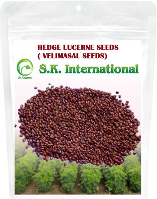 SK ORGANIC HEDGE LUCERNE (500 Gms) Velimasal/dasrath grass seeds Seed(10000 per packet)