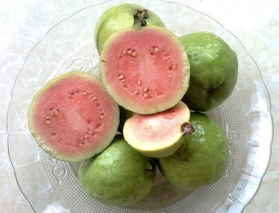M-Tech Gardens Guava Seed(40 per packet)