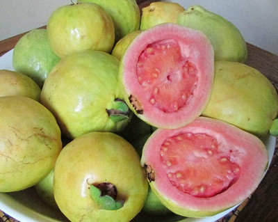 M-Tech Gardens Guava Seed(40 per packet)