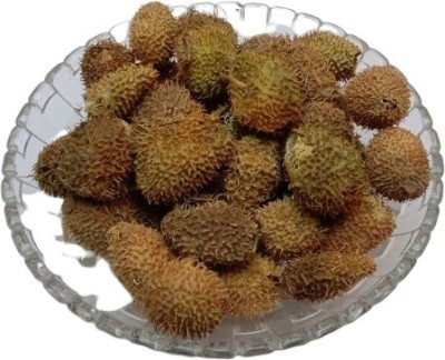 Kesariwala BINDAAL DODA - DEVDALI - LUFFA ECHINATA Seed(100 per packet)