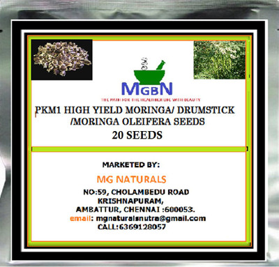 MGBN PKM1 HIGH YIELD MORINGA/DRUMSTICK/MORINGA OLEIFERA SEEDS -20 SEEDS Seed(20 per packet)