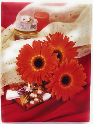 Cute Shopping Network Create & Design Natraj High Quality Photo Album with Extra Clear PVC Film, 120 Photos, (Photo Size Supported: 4'x6') by Natraj Album(Photo Size Supported: 4x6 Inch) Cute Shopping Network Create & Design Natraj High Quality Photo Album with Extra Clear PVC Film, 120 Photos, (Photo Size Supported: 4'x6') by Natraj Album(Photo Size Supported: 4x6 Inch)