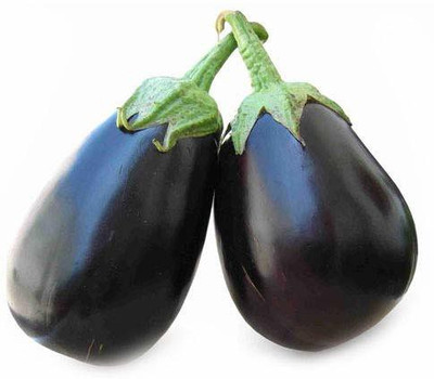 VibeX HUA-99 - Hybrid Brinjal VN-212 - (1350 Seeds) Seed(1350 per packet)