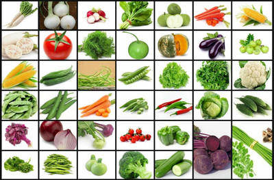 FLARE SEEDS Vegetables Seeds Combo 45 Varities Seeds, With Instruction Manual Seed(2550 per packet)