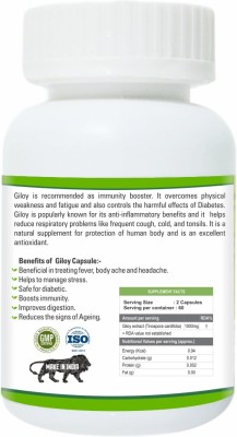 Zindagi Giloy Capsules - Immunity Booster - Pure Giloy Leaves And Stem Extract Capsules(60 g)