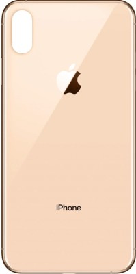 SMART Apple iPhone XS Back Panel(Gold)