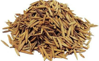 Portia InderJau - InderJo Seed(250 per packet)