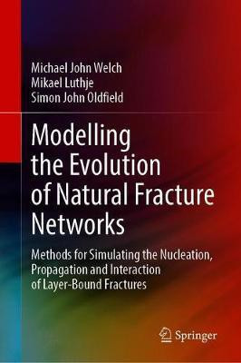 Modelling the Evolution of Natural Fracture Networks(English, Hardcover, Welch Michael John)