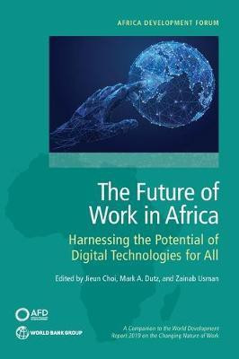 The Future of Work in Africa(English, Paperback, Dutz Mark)