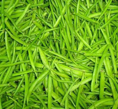 sporos Clusterbeans Seed(15 per packet)