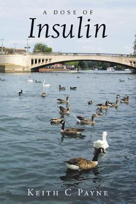 A Dose of Insulin(English, Paperback, Payne Keith C)