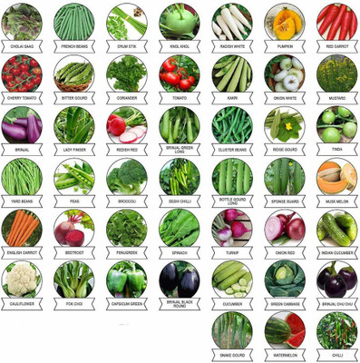 Greenery Hub Vegetables Seeds Combo 45 Varieties Of Vegetables Seed(45 per packet)