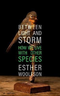 Between Light and Storm(English, Hardcover, Woolfson Esther)