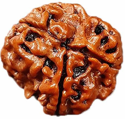 Shree Rudra Nepalese 3 Mukhi Rudraksha Wood Pendant