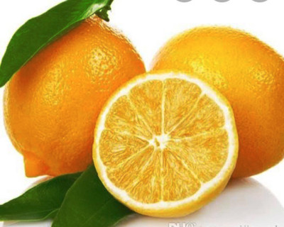 VibeX SEEDLESS LEMON FRUIT Seed(10 per packet)
