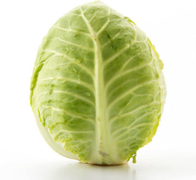 Kofy cabbage Seed(25 per packet)