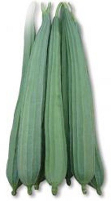 Kofy Ridge Gourd Seed(25 per packet)
