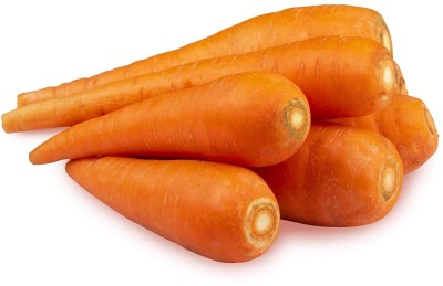 ZIFR Orange Gajar Carrot Vegetable Seed(300 per packet)