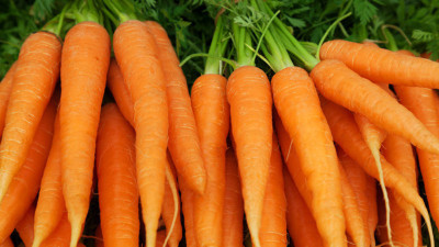 Kofy Carrot Seed(25 per packet)