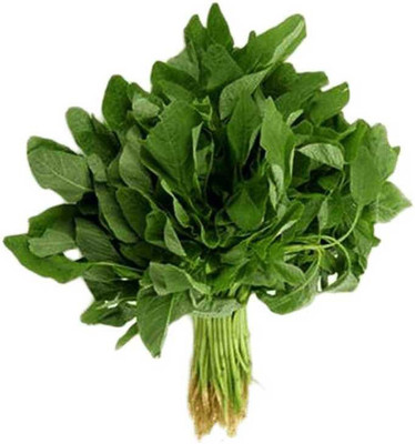 LYRS Amaranth Vegetable Seed Seed(55 per packet)