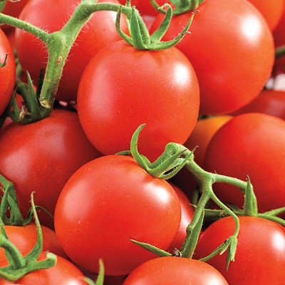 Kofy Tomato Seed(25 per packet)