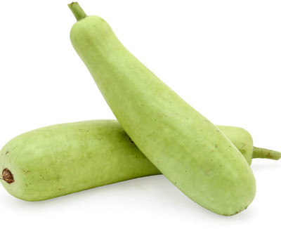 UGRA Bottle Gourd Hybrid Seeds Seed(20 per packet)