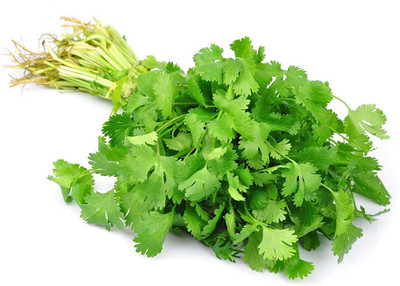 Mohomaya Coriander (Dhaniya) Seed (100 per packet) Seed(100 per packet)