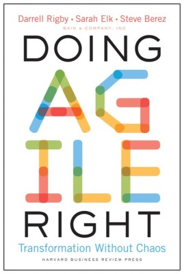 Doing Agile Right  - Transformation Without Chaos(English, Hardcover, Rigby Darrell)