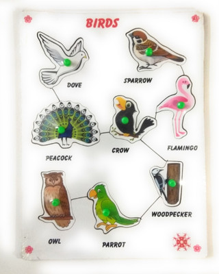 FUTUREZ KEY Wooden Colorful Birds' Name Tray with knobs, Educational Learning Puzzle Board for Kids, play and learn philosophy.(Multicolor)