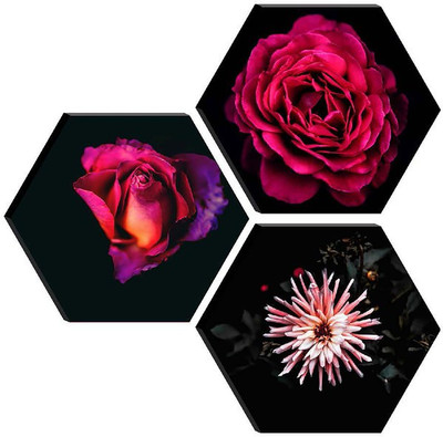 saf SET OF 3 HEXAGON MODERN ART Embossed 21 inch x 21 inch Painting(Without Frame, Pack of 3)
