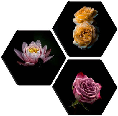 saf SET OF 3 HEXAGON MODERN ART Embossed 21 inch x 21 inch Painting(Without Frame, Pack of 3)