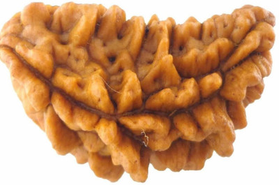 RADHEY 1 Mukhi Rudraksha HRC Lab Certified Wood Pendant