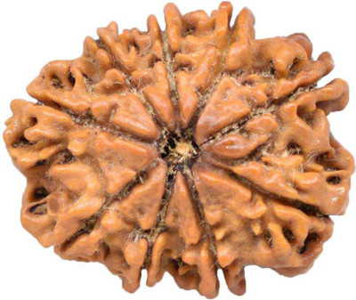 RADHEY 9 Mukhi Rudraksha HRC Lab Certified Wood Pendant