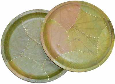 Ssanvi Bio-degradable Disposable Plates Dinner Plate(25 Dinner Plate)