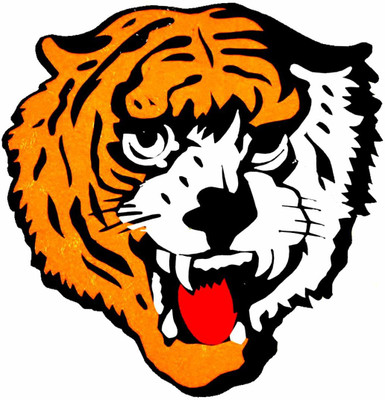 AFH Sticker & Decal for Car & Bike(Orange, White)
