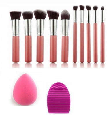 DUcare Makeup Brushes Kit with Blender Sponge and Brush Egg(12 Items in the set)