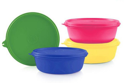 TUPPERWARE Plastic Utility Container  - 1000 ml(Pack of 4, Multicolor)