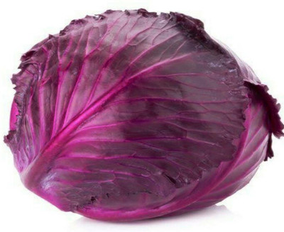 VibeX PURPLE CABBAGE Seed(15 per packet)
