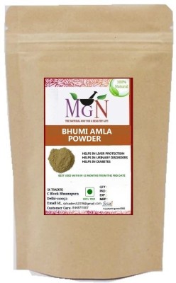 MG Naturals BHUMI AMLA (Phyllanthus niruri ) POWDER 400 GM(400 g)