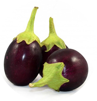 Kofy Brinjal Seed(50 per packet)