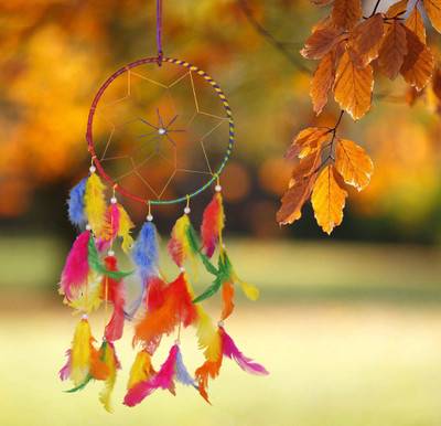 Ryme 6 Inches Multi Color Dream Catcher Wall Hanging For Home / Office Wool Dream Catcher(6 inch, Multicolor)
