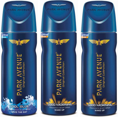PARK AVENUE 1 Cool Blue and 2 Good Morning Deodorant Combo Pack of 3 Deodorant Spray  -  For Men(390 ml, Pack of 3)