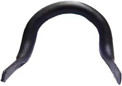 Ride Adventure Passenger Backrest