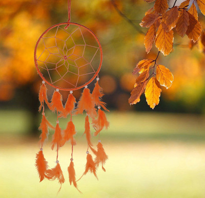 Ryme Car And Wall Hanging Orange Dream Catcher Wool Dream Catcher(18 inch, Orange)