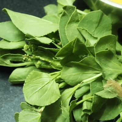 Jevik Chukka kura Seed(10 per packet)
