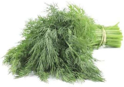 Paudha Dill Seed(25 per packet)