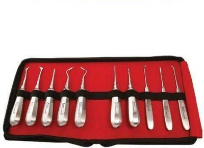 Forgesy Root Elevator Kit, Set of 10 pc Dental Elevator