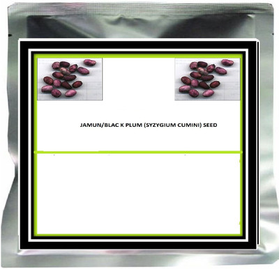 CRGO JAAMUN, JAVA PLUM Seed(5 per packet)